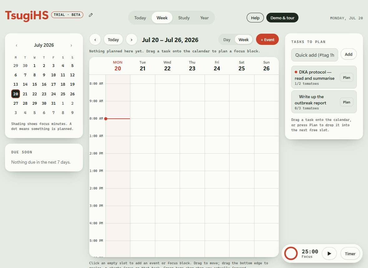 The weekly planner with tasks and time blocks
